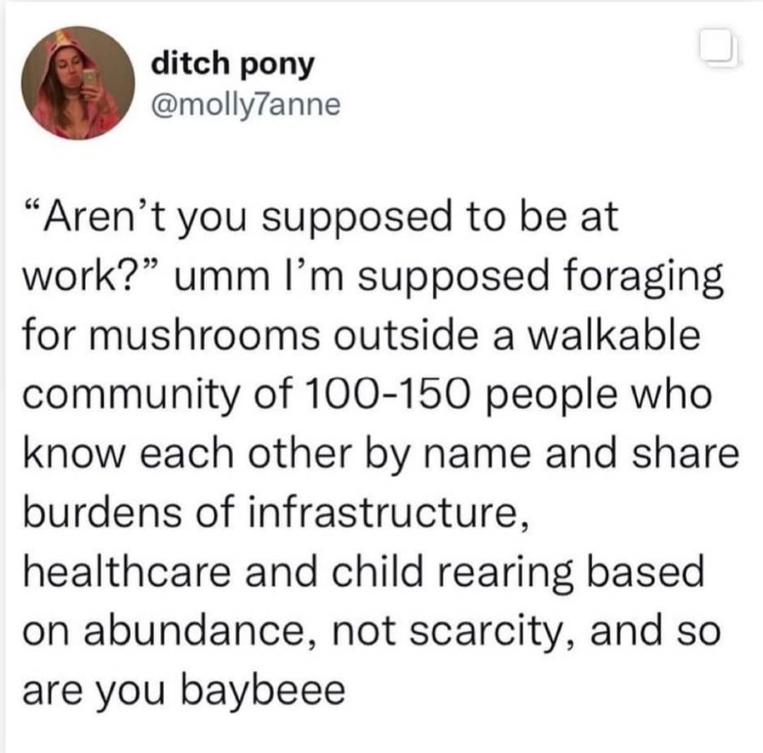 This meme is a humorous take on a common workplace scenario. The image shows a person's response to a coworker's question about their whereabouts, with a sarcastic and absurd explanation of their activities. The text reads: "I'm not at my desk, I'm foraging for mushrooms in a 1000-person-strong community of 100-150 year olds who know each other by name and share burdens of infrastructure, healthcare, and child-rearing based on abundance, not scarcity."